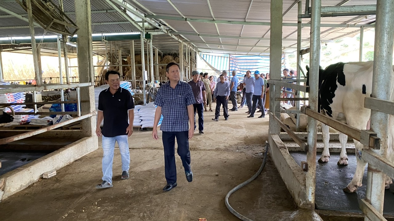 Huyện Phù Cát (Bình Định) đẩy mạnh công tác giảm nghèo bền vững Huyện Phù Cát (Bình Định) đẩy mạnh công tác giảm nghèo bền vững