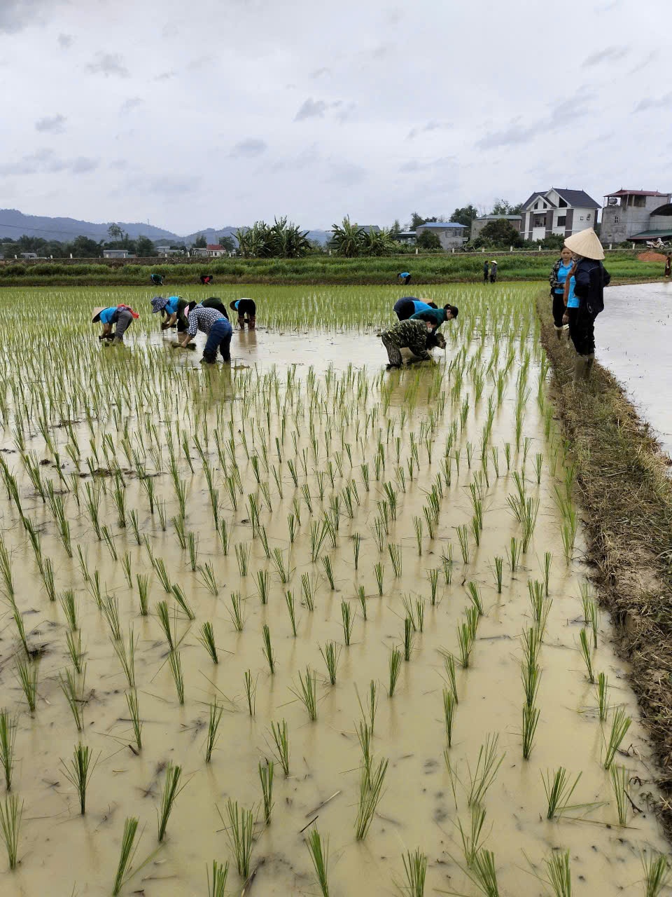 Những vòng tay ân tình giúp cô giáo nghèo Cao Bằng vượt lên nghịch cảnh