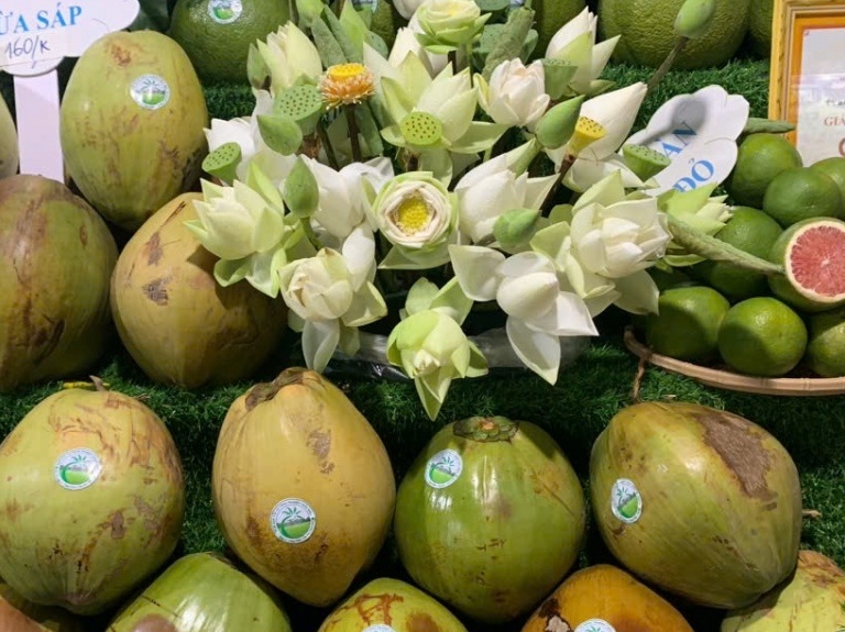 100 năm dừa sáp Trà Vinh