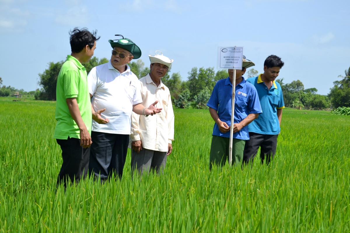 Quốc khánh đặc biệt của Giáo sư Võ Tòng Xuân