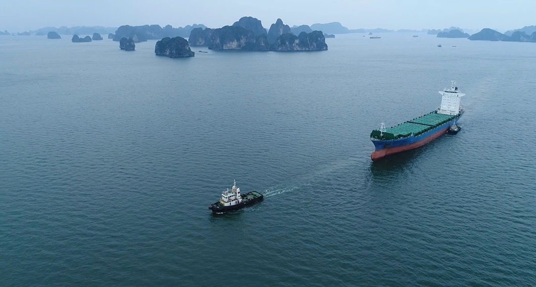 Trước giờ bão Yagi đổ bộ: Tàu và sỹ quan, thuyền viên đã neo trú nơi an toàn