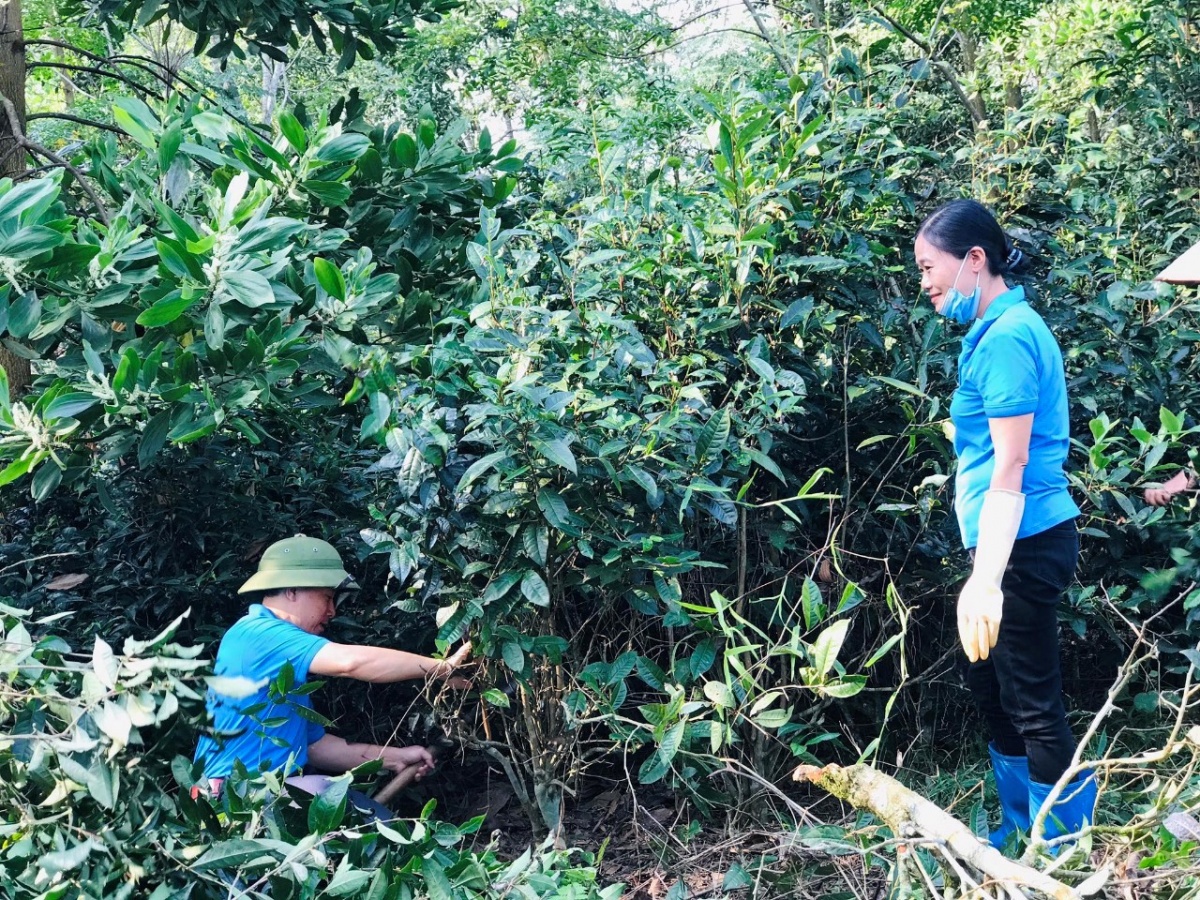 Ghi chép về một thầy giáo - Chủ tịch Công đoàn gương mẫu, tận tụy