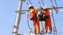 An toàn lao động đã trở thành thói quen, hành vi của từng cán bộ, nhân viên ngành Điện lực
