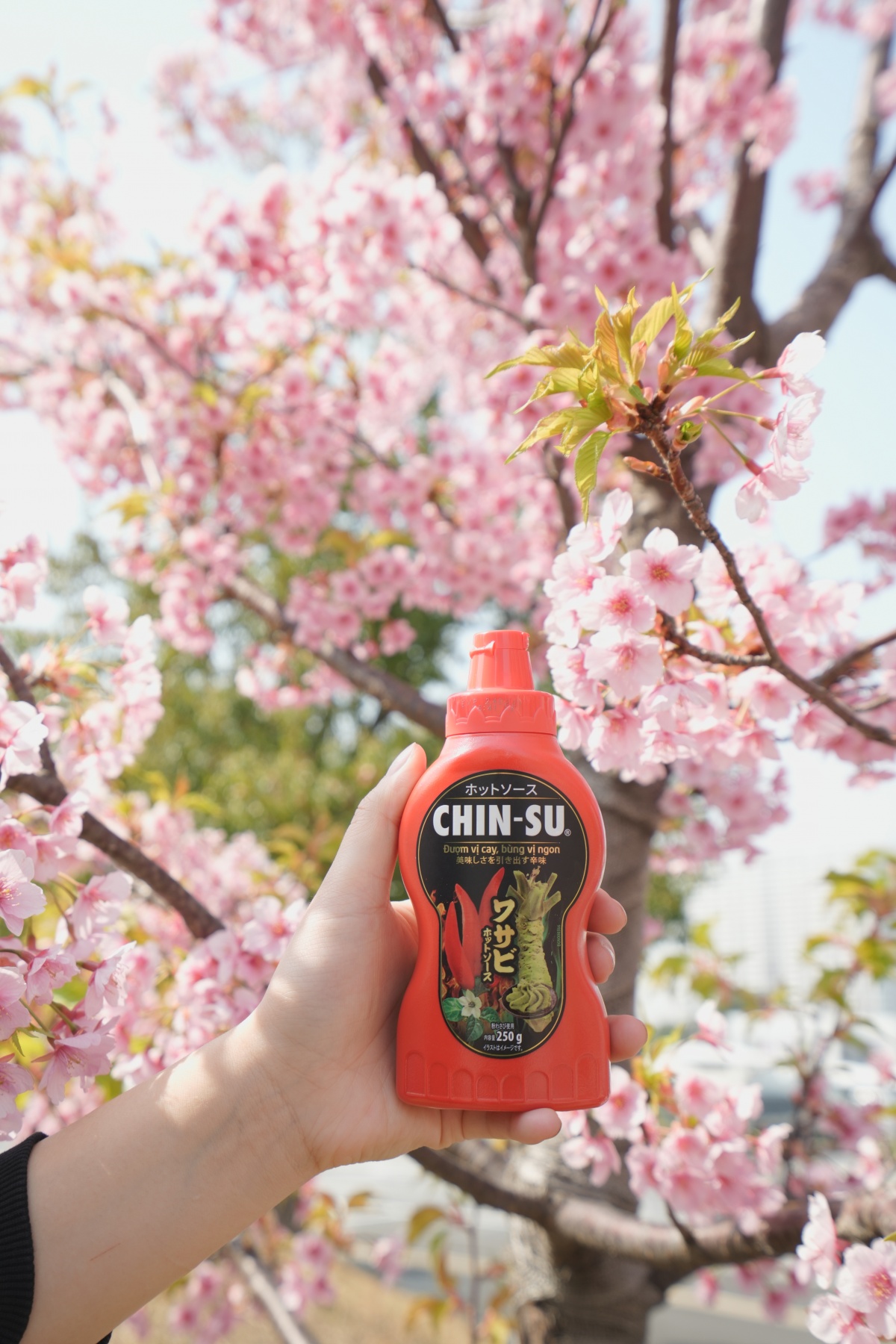 Tương ớt Chin-Su có hơn 4 năm chinh phục ẩm thực Nhật Tương ớt Chin-Su có hơn 4 năm chinh phục ẩm thực Nhật