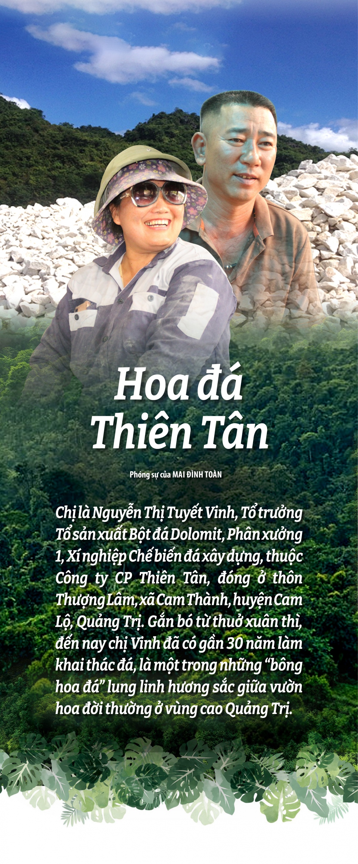 Hoa đá Thiên Tân Hoa đá Thiên Tân