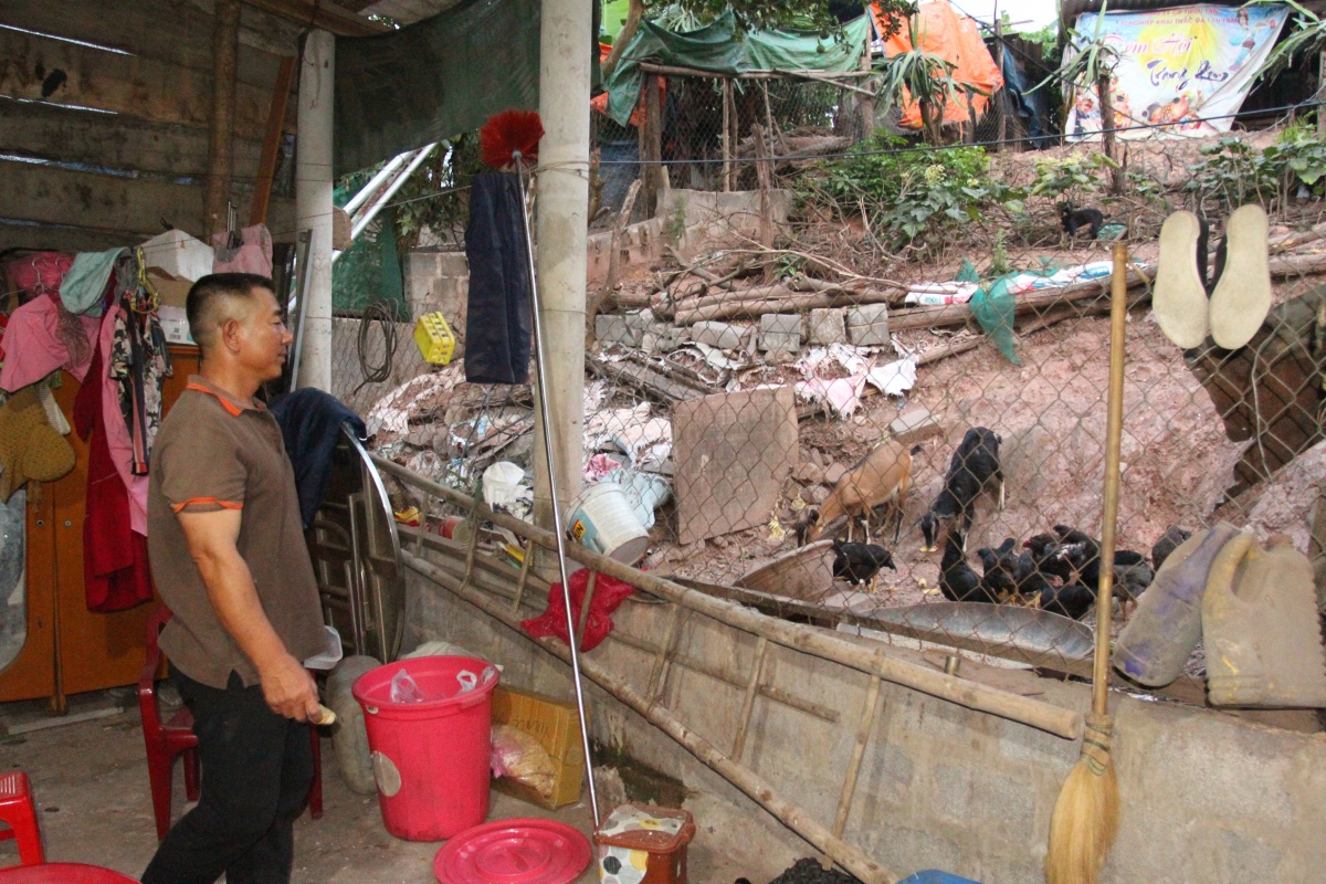 Hoa đá Thiên Tân Hoa đá Thiên Tân