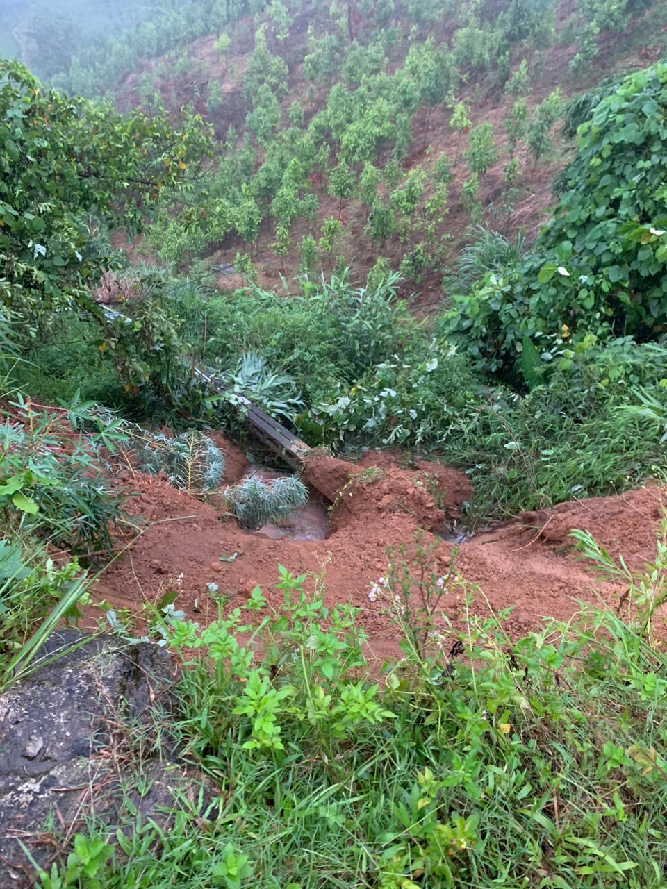 Niềm vui của những thầy cô “gieo mầm xanh” nơi vùng cao Bát Xát