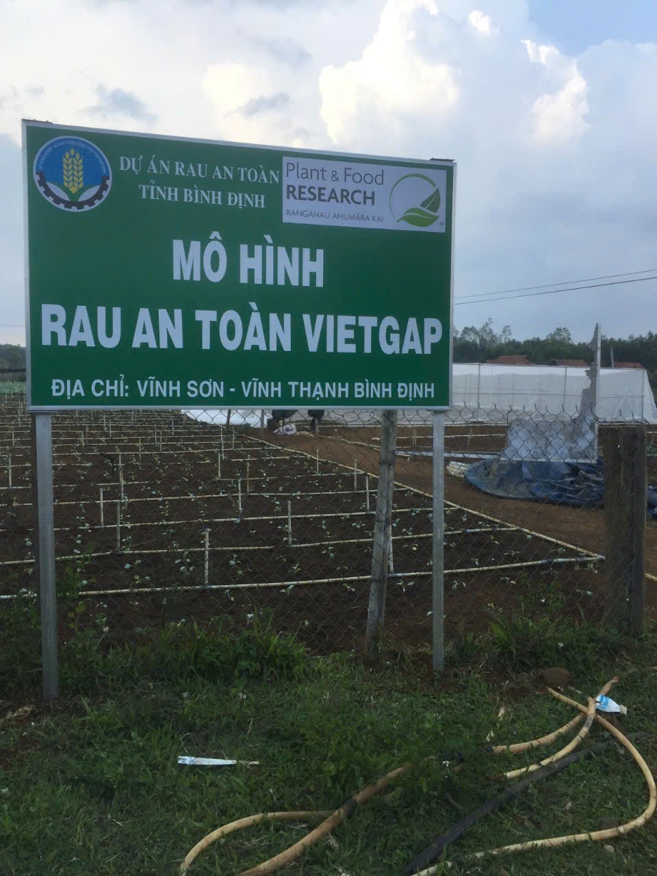 Bình Định phấn đấu giảm tỷ lệ hộ nghèo xuống dưới mức bình quân cả nước Bình Định phấn đấu giảm tỷ lệ hộ nghèo xuống dưới mức bình quân cả nước