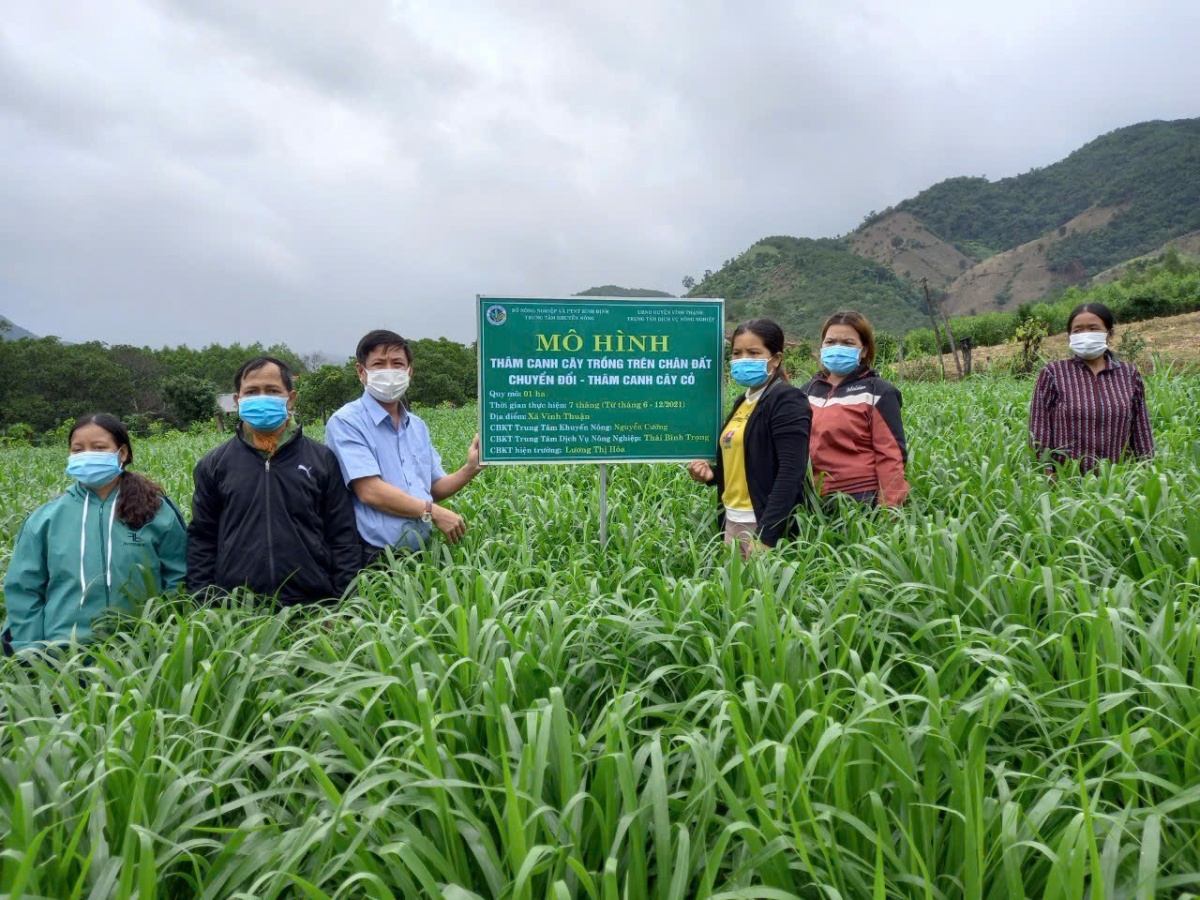 Bình Định phấn đấu giảm tỷ lệ hộ nghèo xuống dưới mức bình quân cả nước Bình Định phấn đấu giảm tỷ lệ hộ nghèo xuống dưới mức bình quân cả nước