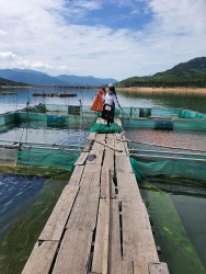Huyện Vĩnh Thạnh (Bình Định): Thực hiện đồng bộ các dự án Chương trình mục tiêu quốc gia giảm nghèo