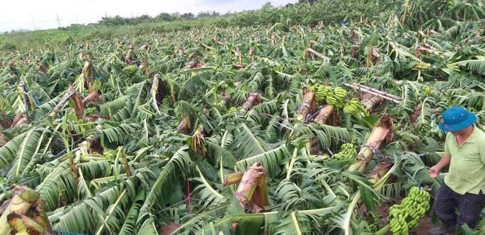 Ân tình Công đoàn Tổng Công ty May 10 còn mãi sau bão tố Ân tình Công đoàn Tổng Công ty May 10 còn mãi sau bão tố