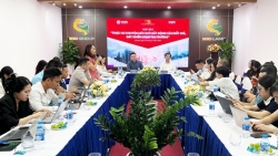 Môi giới bất động sản không có khả năng "tạo sóng" hay "lũng đoạn" thị trường