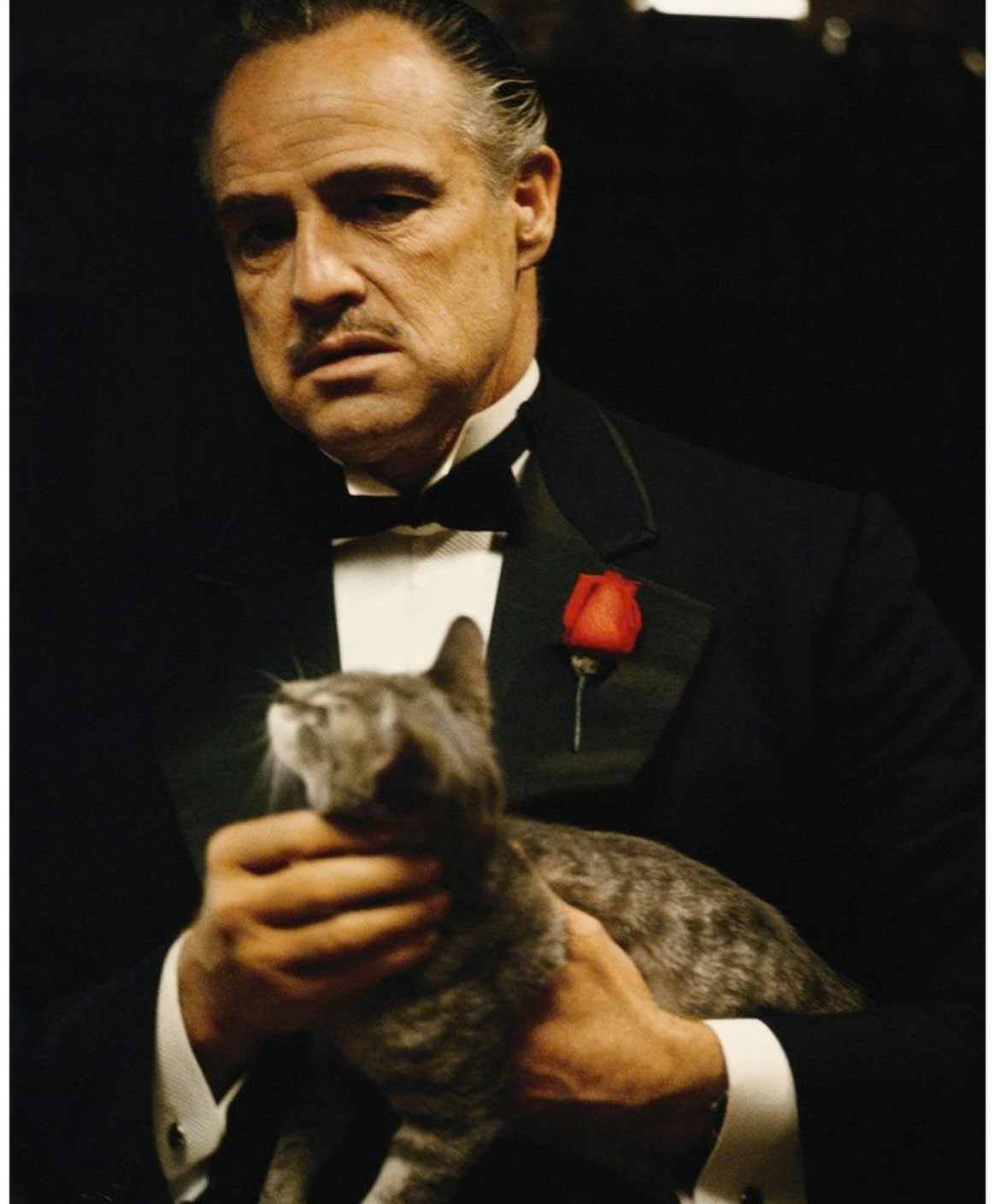 Bố già Vito Corleone và bài học kỷ luật cho giới trẻ trước tình trạng đua xe