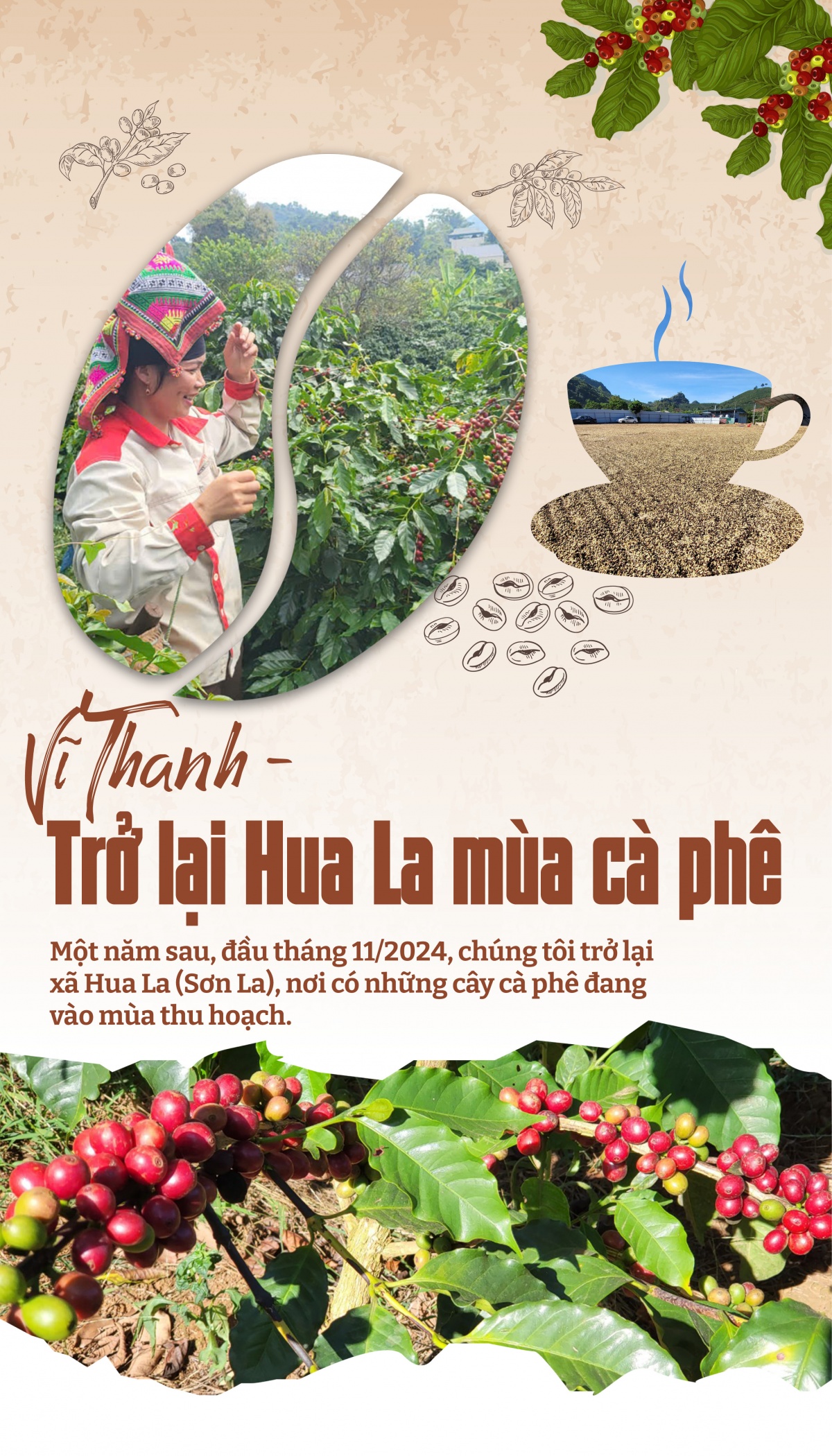Vĩ Thanh- trở lại Hua La mùa cà phê