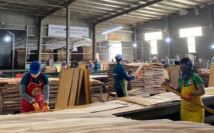 Doanh nghiệp sản xuất gỗ ván ép ở Quảng Bình tuyển hàng trăm lao động phổ thông