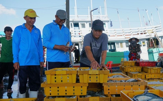 Vào nghiệp đoàn, người lao động phấn khởi có thu nhập ổn định Vào nghiệp đoàn, người lao động phấn khởi có thu nhập ổn định
