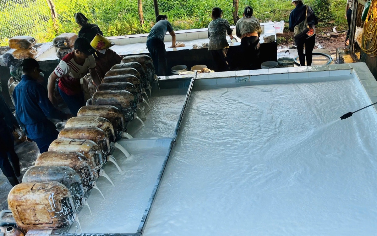 “Thợ cạo” vùng biên