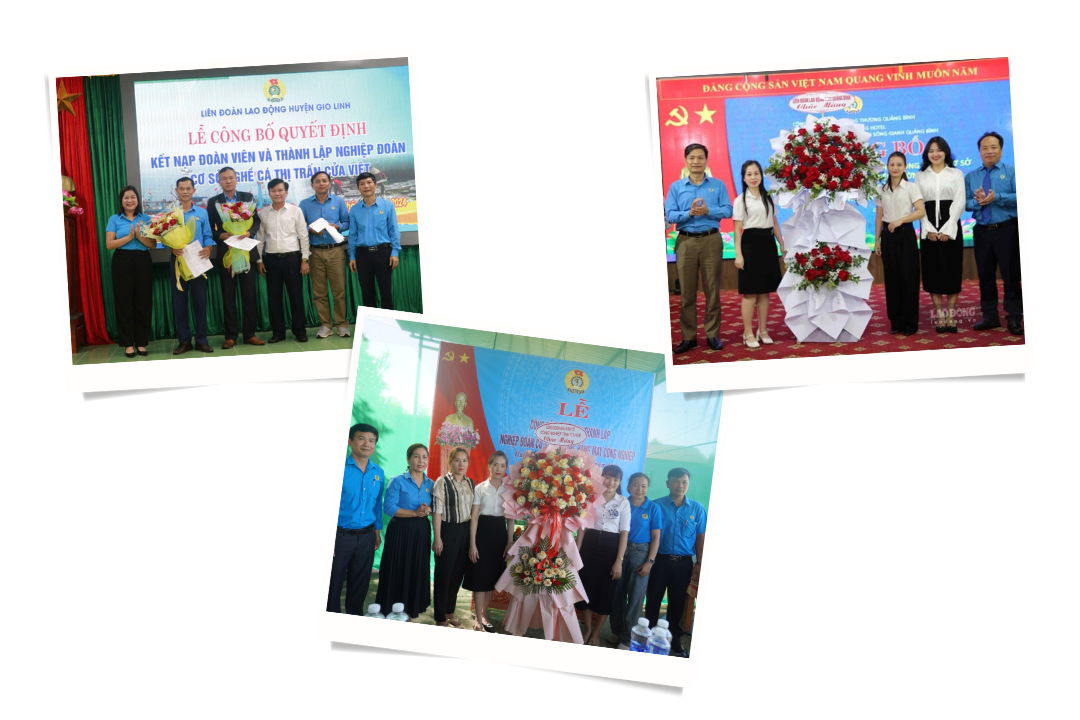 Công đoàn 6 tỉnh Bắc Trung Bộ phát triển 79.477 đoàn viên, thành lập 365 CĐCS Công đoàn 6 tỉnh Bắc Trung Bộ phát triển 79.477 đoàn viên, thành lập 365 CĐCS