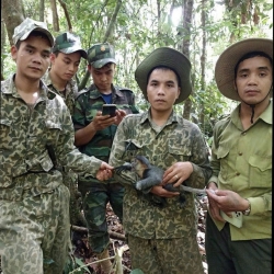 Những điều ít biết giữa đại ngàn Sông Thanh