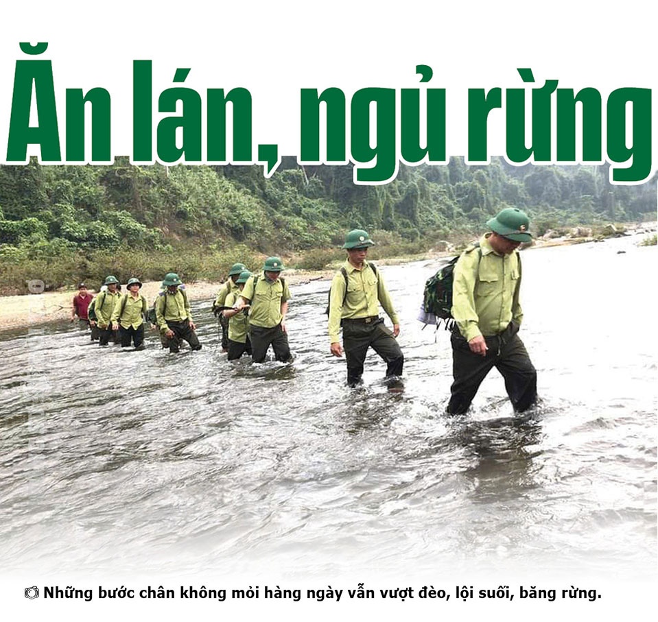 Những điều ít biết giữa đại ngàn Sông Thanh