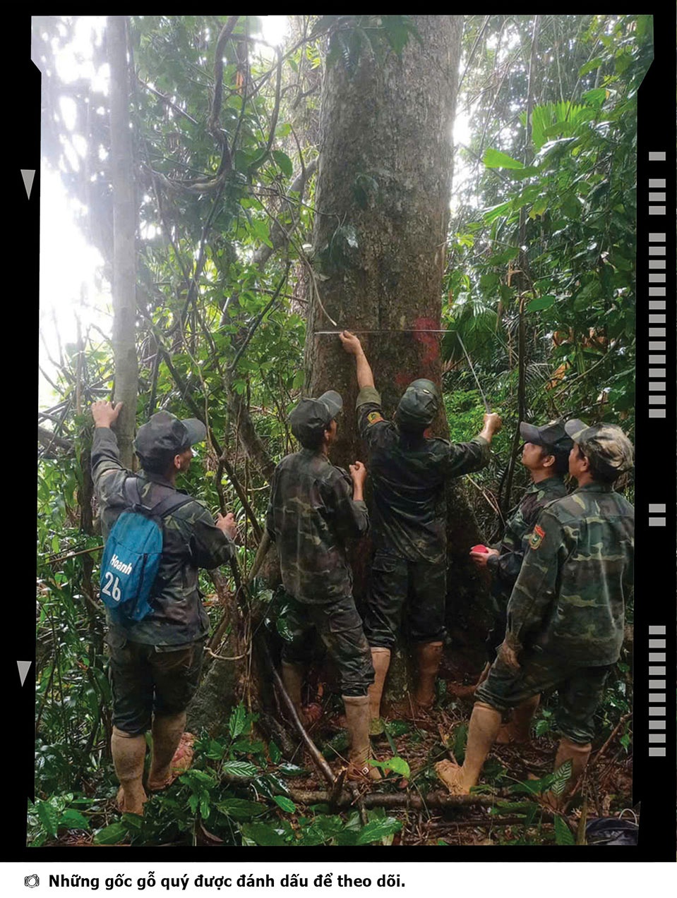 Những điều ít biết giữa đại ngàn Sông Thanh