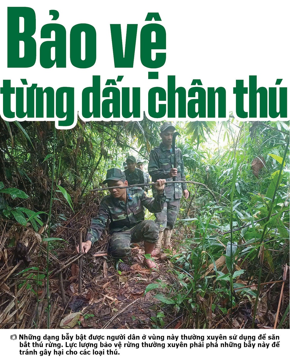 Những điều ít biết giữa đại ngàn Sông Thanh Những điều ít biết giữa đại ngàn Sông Thanh