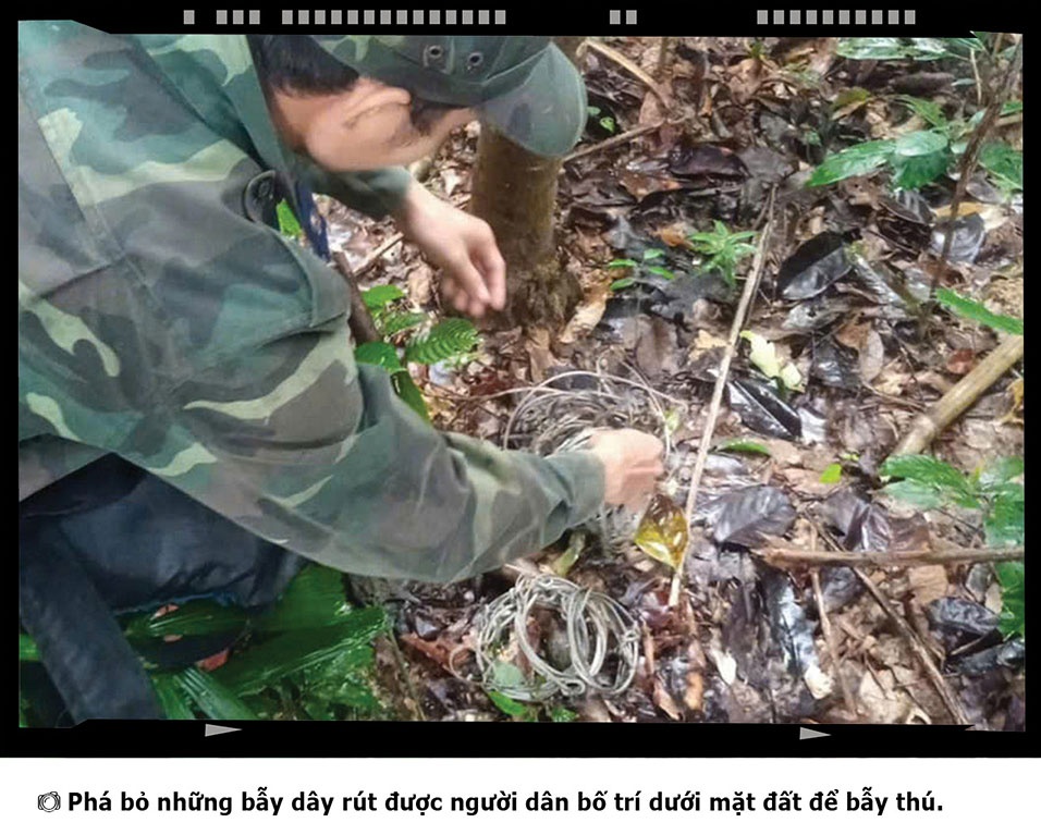 Những điều ít biết giữa đại ngàn Sông Thanh