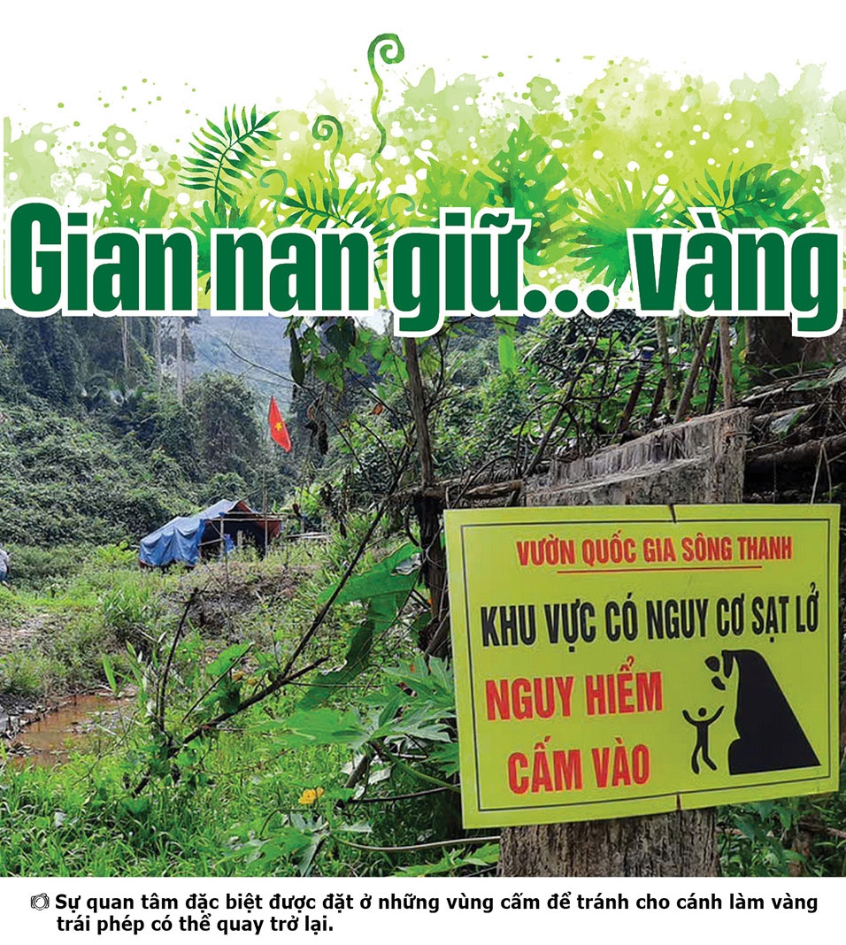 Những điều ít biết giữa đại ngàn Sông Thanh