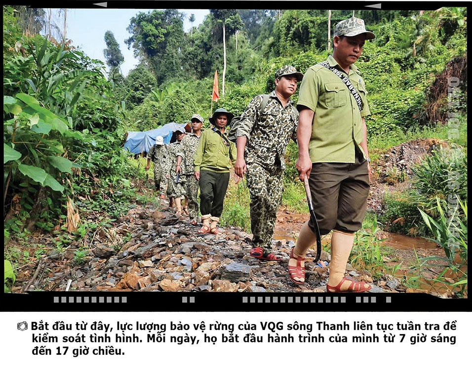 Những điều ít biết giữa đại ngàn Sông Thanh