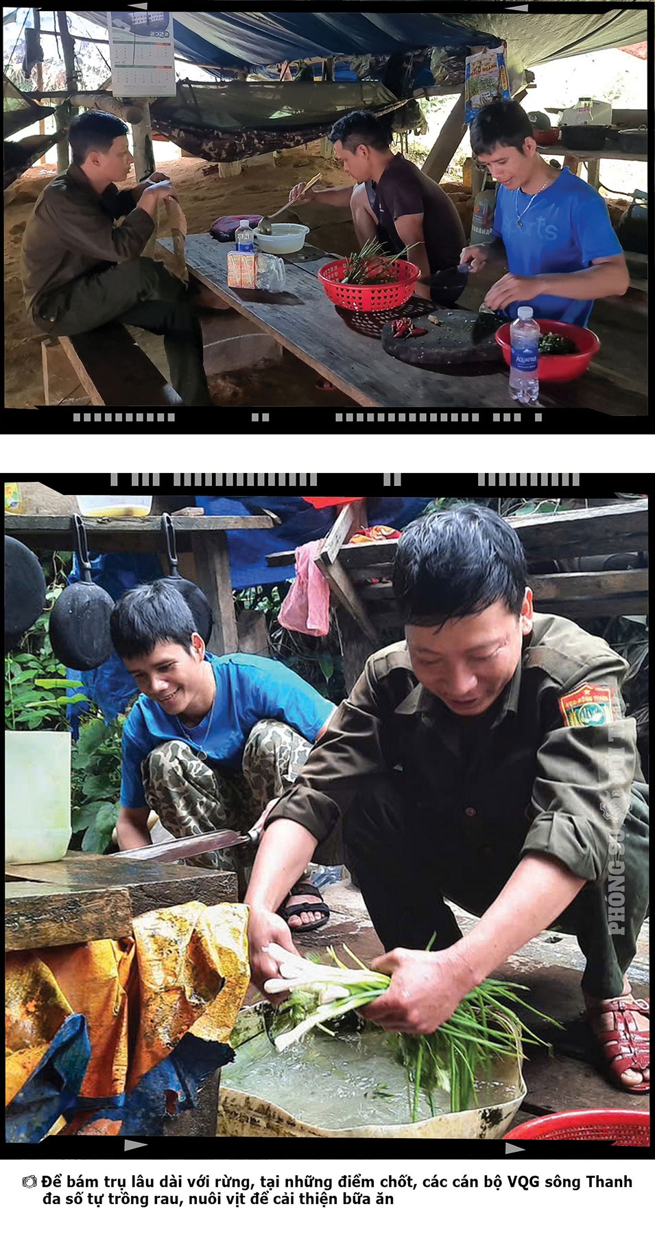 Những điều ít biết giữa đại ngàn Sông Thanh