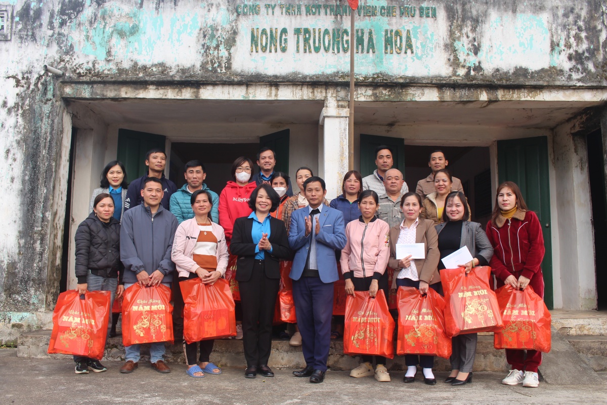 Mang mùa xuân sớm đến công nhân chè Phú Thọ Mang mùa xuân sớm đến công nhân chè Phú Thọ