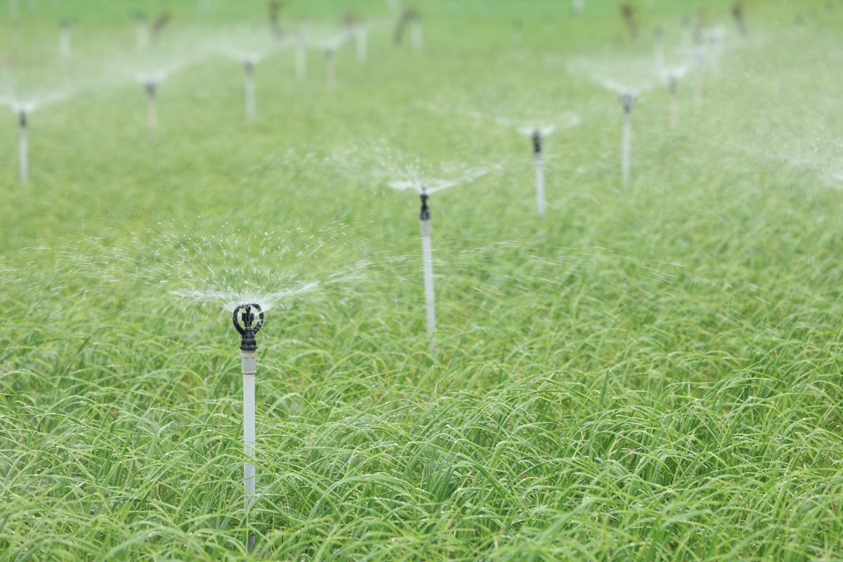 Nam Ngư tài trợ 1 tỷ đồng mở rộng hệ thống tưới tiêu từ hồ Thới Lới, đảm bảo nguồn nước cho ruộng tỏi Lý Sơn. Nam Ngư tài trợ 1 tỷ đồng mở rộng hệ thống tưới tiêu từ hồ Thới Lới, đảm bảo nguồn nước cho ruộng tỏi Lý Sơn.