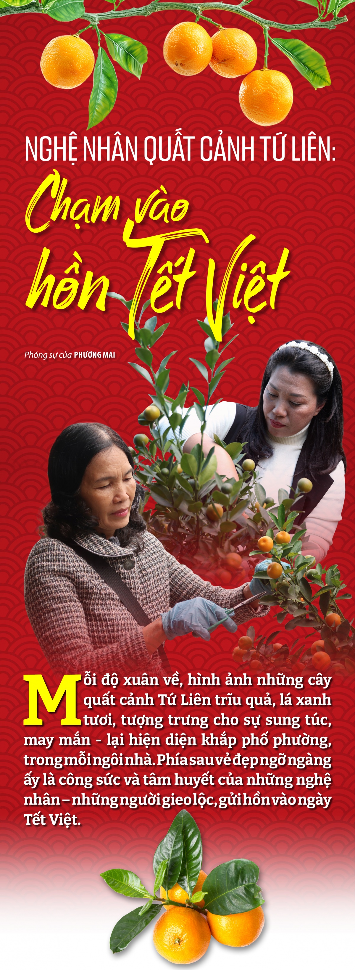 Nghệ nhân quất cảnh Tứ Liên: Chạm vào hồn Tết Việt