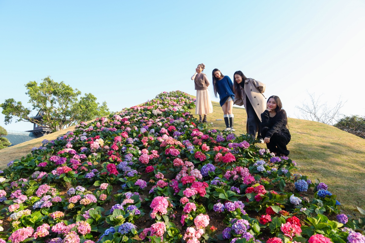 Vui chơi Sun World Ha Long mùa xuân, không thể bỏ qua những trải nghiệm này Vui chơi Sun World Ha Long mùa xuân, không thể bỏ qua những trải nghiệm này