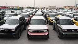 Thị trường ô tô Việt Nam tháng 2/2025: Xe lắp ráp trong nước khởi sắc