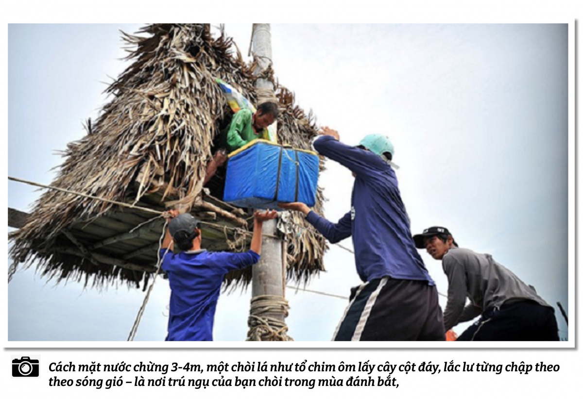 Thợ đóng đáy hàng khơi: Những người treo mình trên sóng gió