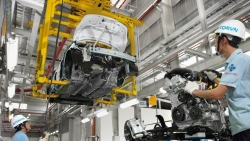 Kinh tế tư nhân và bứt phá thể chế