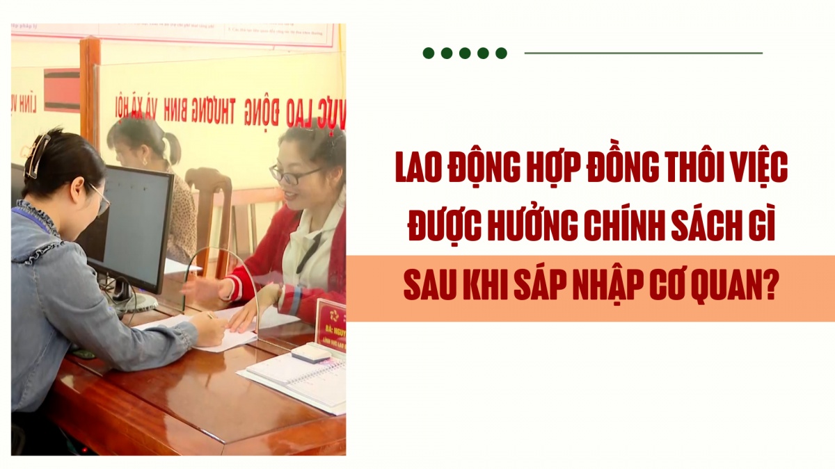 Lao động hợp đồng thôi việc được hưởng chính sách gì sau khi sáp nhập cơ quan?