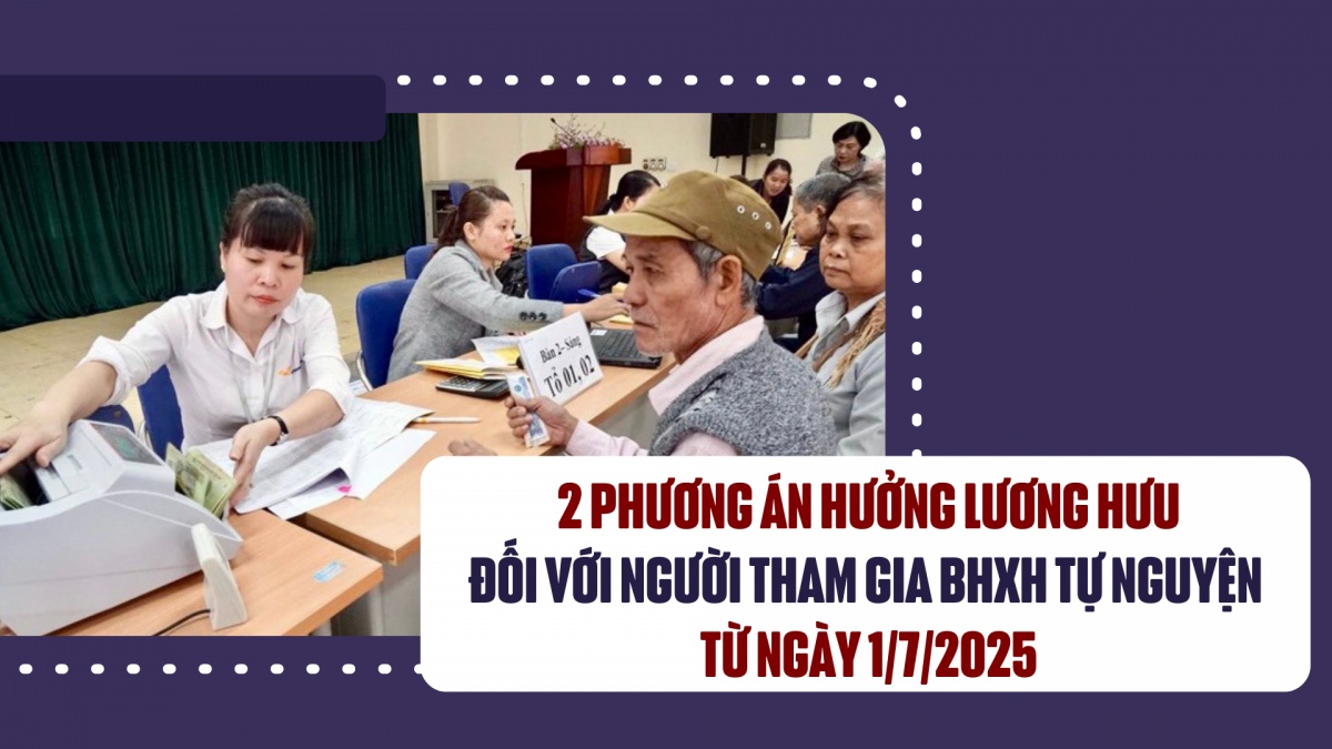 2 phương án hưởng lương hưu đối với người tham gia bảo hiểm xã hội tự nguyện