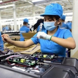 Làm sao để phát triển mạnh đoàn viên trong thời kỳ tinh giản bộ máy?