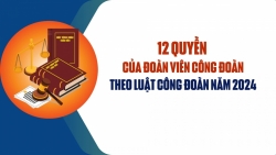 12 quyền của đoàn viên theo Luật Công đoàn năm 2024