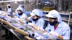 Nghị quyết 57: Cởi trói pháp lý, mở đường sáng tạo