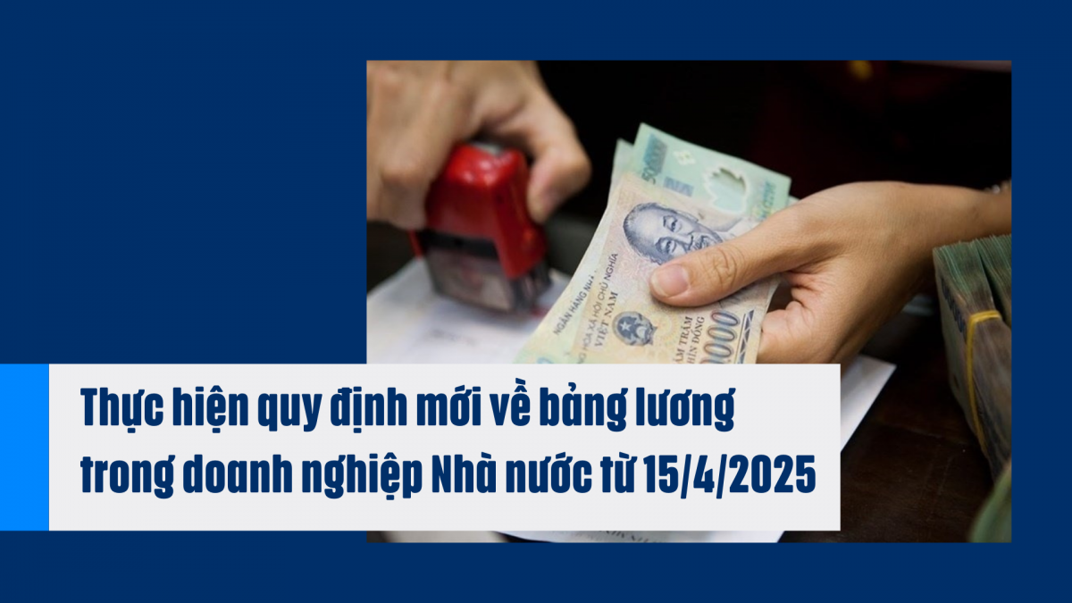 Thực hiện quy định mới về bảng lương trong doanh nghiệp Nhà nước
