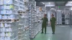 Kinh hoàng sữa giả