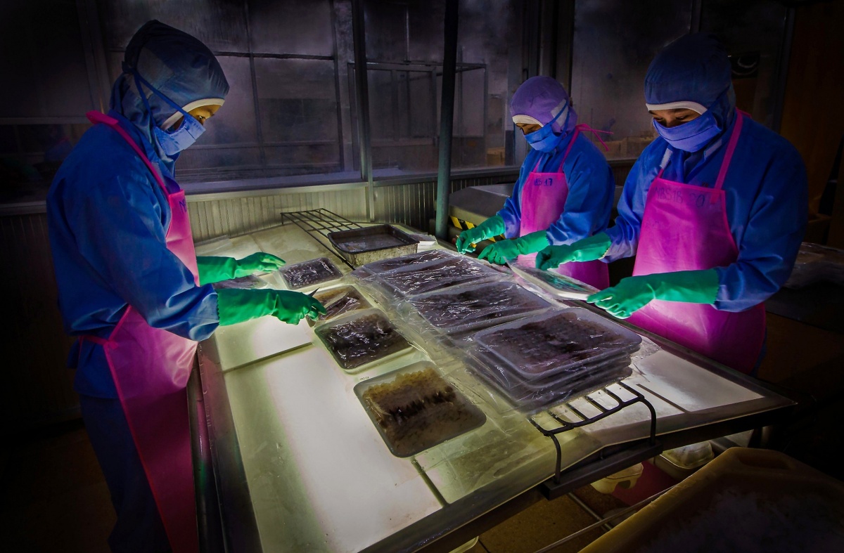 Công nhân Việt Nam và hành trình không nghỉ