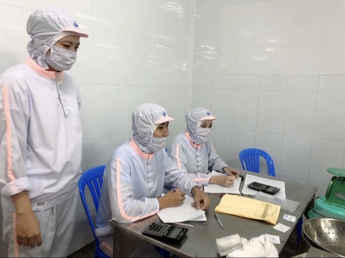 Đảng viên Phương Anh với một tấm thẻ – hai hành trình Đảng viên Phương Anh với một tấm thẻ – hai hành trình