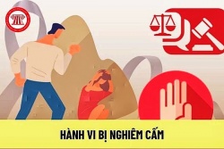 Nữ sinh bị đánh vì “tiền tip”: Rủi ro tìm việc và vai trò 