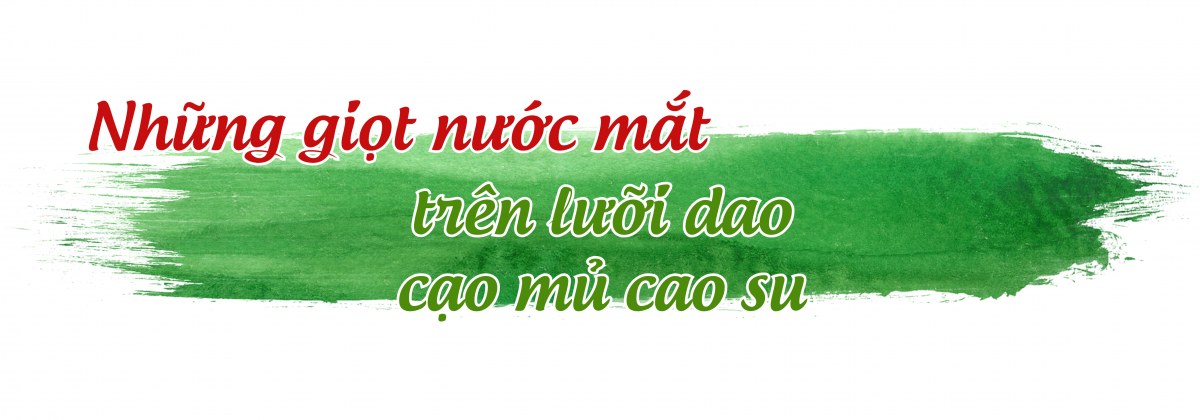 Nơi yêu thương ươm mầm hy vọng