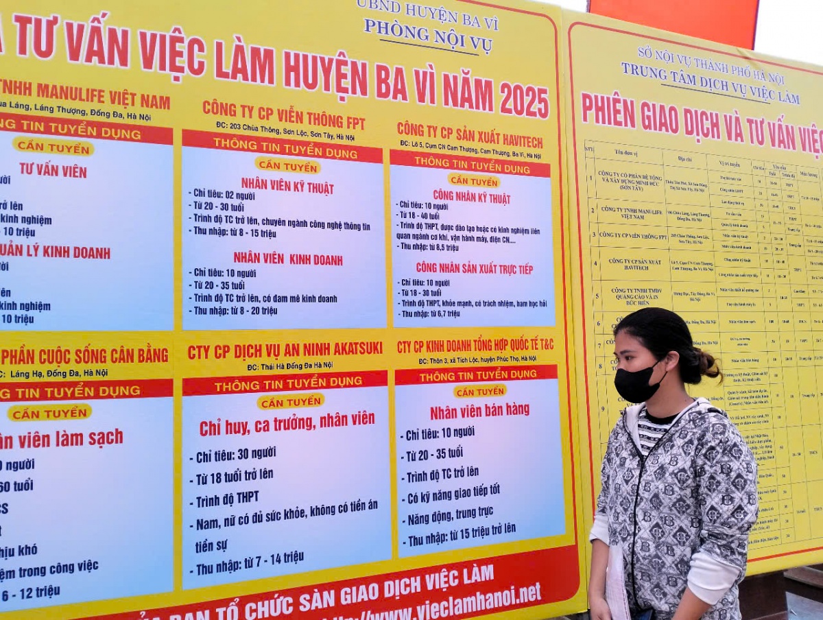 Phiên giao dịch việc làm Ba Vì năm 2025: Kết nối thực chất - kỳ vọng dài lâu