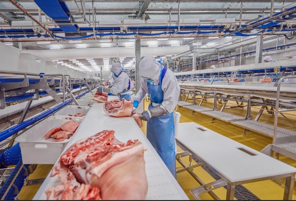 Dây chuyền sản xuất thịt ủ mát MEATDeli do Marel - công ty hàng đầu thế giới về thiết bị giết mổ, chế biến thịt của Hà Lan cung cấp Dây chuyền sản xuất thịt ủ mát MEATDeli do Marel - công ty hàng đầu thế giới về thiết bị giết mổ, chế biến thịt của Hà Lan cung cấp